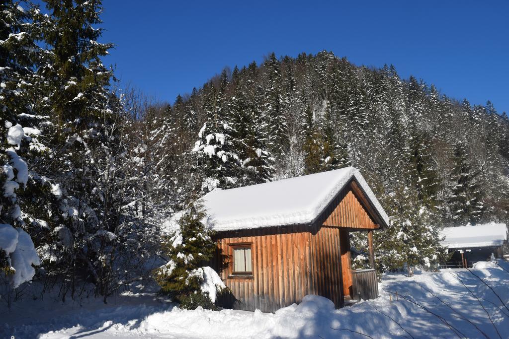 Camping Und Chalet Saggraben Palfau Exteriör bild